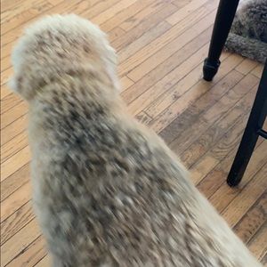 Meet your Posher, Michael